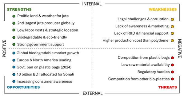 Visual Representation of SWOT Analysis for Sonali Bag.