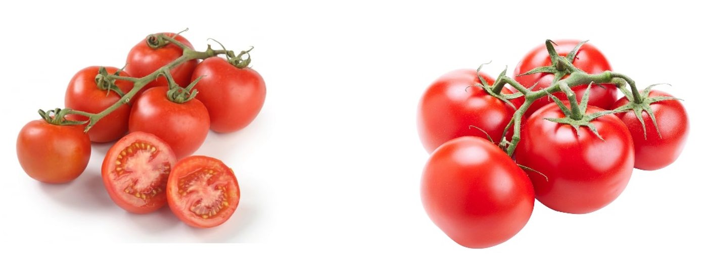 [Uncaptioned image]